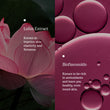 Key Ingredients of Lotus Splash hydrating mild skin cleanser