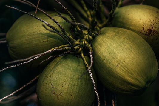 Spotlight on our Indian Ingredients: Coconut