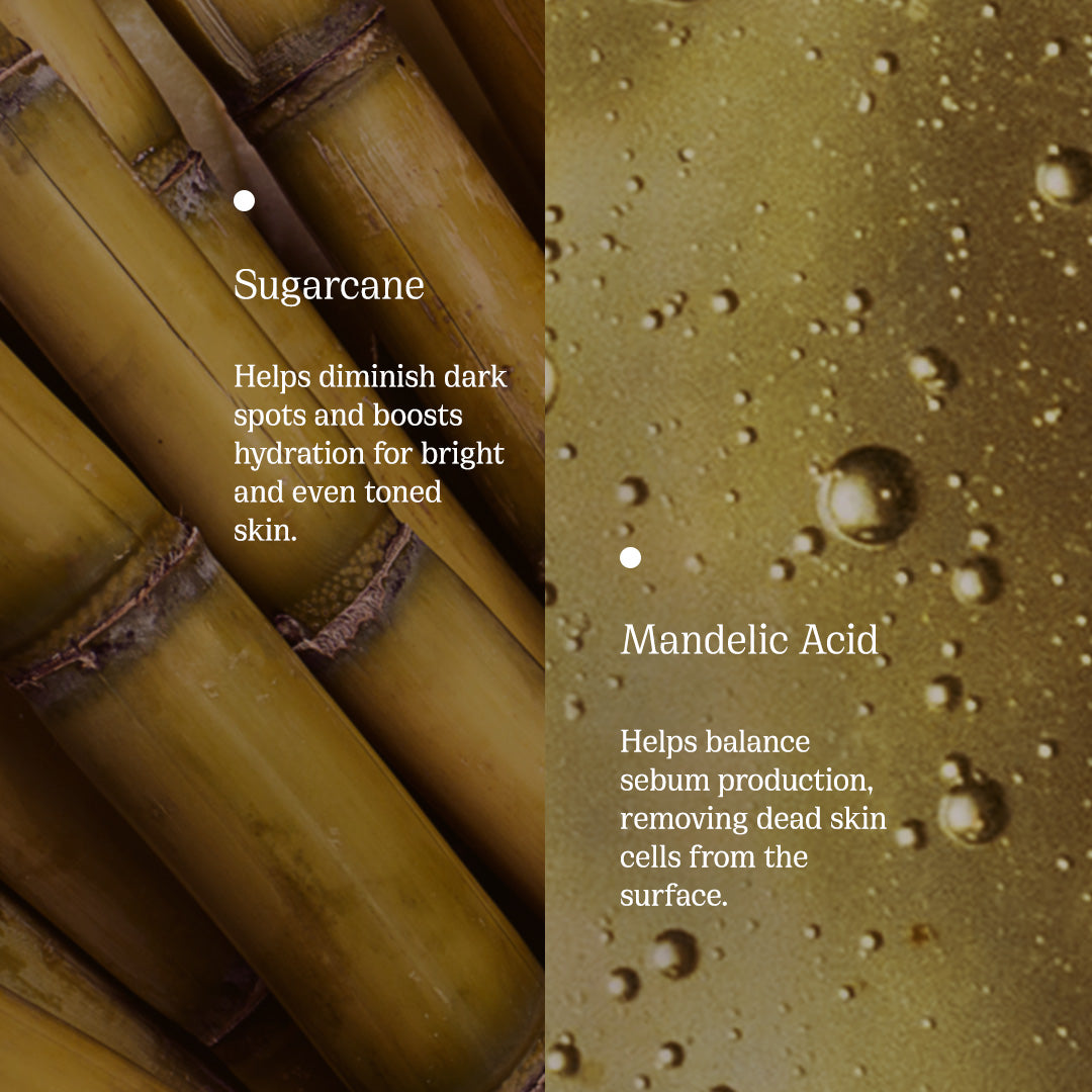 Key ingredients of Sugarcane Soak foaming face cleanser  #size_all