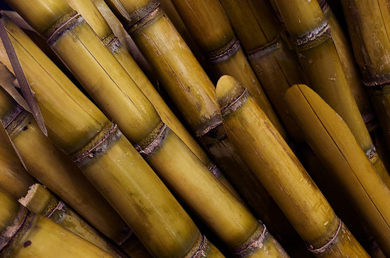 Sugarcane Extract - Key ingredients sugarcane oily skin cleanser